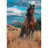 Freedom (1000 pezzi) - immagine 2
