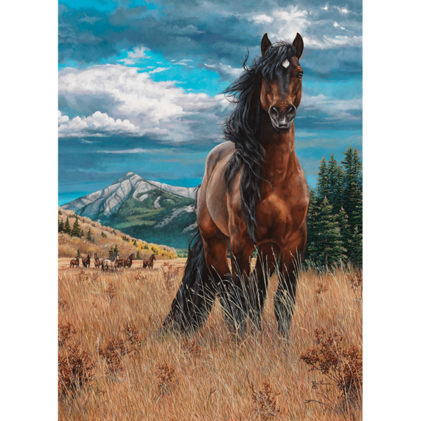 Freedom (1000 pezzi) - immagine 2
