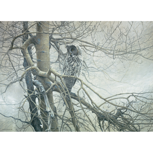 Ghost of the North (1000 pezzi) - immagine 2